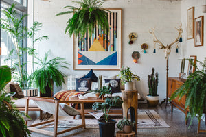 view of a living full of indoor tropical plants