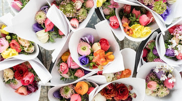 Overhead view of bunches of colourful ranunculus wrapped in white paper
