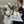 Load image into Gallery viewer, Custom Bouquet