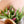 Load image into Gallery viewer, Closeup of tulip bouquet for delivery in Vancouver, Delta &amp; Surrey
