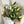 Load image into Gallery viewer, Closed bloom white lily bouquet for delivery
