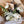 Load image into Gallery viewer, Garden Whites Bouquet