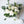 Load image into Gallery viewer, bridesmaid bouquet with white roses and lush greenery wedding flowers vancouver olfco our little flower company