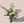 Load image into Gallery viewer, A botanical handtied flower arrangement with white roses, white mums and white delphinium