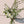 Load image into Gallery viewer, A botanical handtied flower arrangement with white roses, white mums and white delphinium