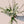 Load image into Gallery viewer, Garden Whites Bouquet