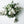 Load image into Gallery viewer, bridesmaid bouquet with white and green flowers wedding flowers vancouver olfco our little flower company