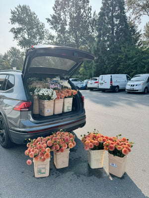 🌼 Fresh Flower Delivery in Burnaby, BC | Same-Day by Local Florist