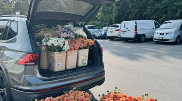 🌼 Fresh Flower Delivery in Burnaby, BC | Same-Day by Local Florist