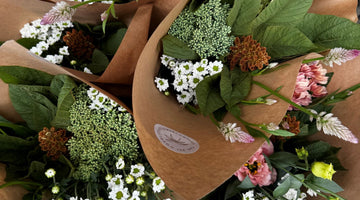 Fresh Local Florals at HUB Refillery - $12 Bunches by Your Delta Floris