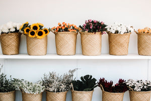 Florist Flowers vs Grocery Store Flowers: Understanding the Differences