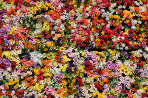 Colourful Flower Wall