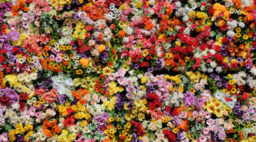 Colourful Flower Wall