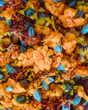 Worldwide Blooms: Exploring the Most Popular Cut Flowers in Different Countries