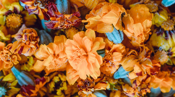 Worldwide Blooms: Exploring the Most Popular Cut Flowers in Different Countries