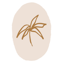 brown and tan oflco palm logo
