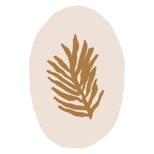 brown and tan fern logo olfco