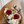 Load image into Gallery viewer, True North Bouquet
