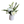 Cocktail Arrangement