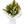 Load image into Gallery viewer, Tropical Vibes Bouquet
