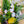 Load image into Gallery viewer, Tropical Vibes Bouquet
