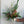 Load image into Gallery viewer, Holiday Bouquet
