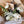 Load image into Gallery viewer, Garden Whites Bouquet
