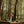 Couple wedding ceremony with 2 flower floor pieces on either side in forest