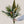 Load image into Gallery viewer, A tropical flower bouquet with palm leaves, orchids, protea and birds of paradise flower
