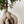Load image into Gallery viewer, Ginseng Ficus Bonsai Tree in concrete Pot
