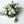 Load image into Gallery viewer, bridesmaid bouquet with white and green flowers wedding flowers vancouver olfco our little flower company
